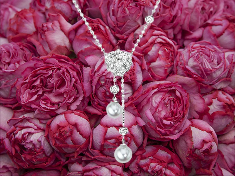 伯爵花园内的玫瑰等你来采摘