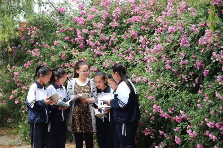 临淄齐国故都旅游文章,来自浓浓的家乡情结