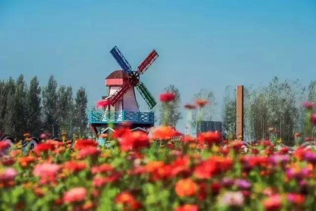 今天起，临沂要大变了！这辈子我都不会后悔留在了临沂！