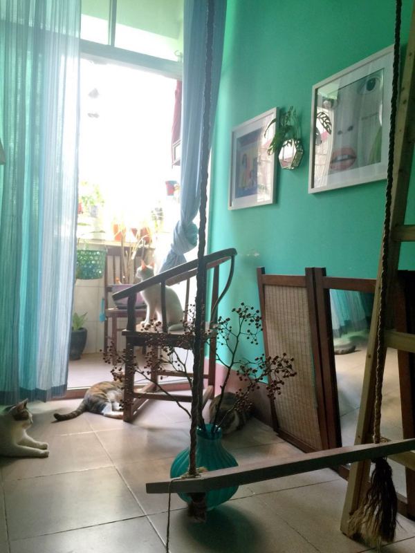 深圳有十几栋房子的90后女房东,90后女孩深圳租房