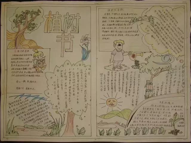 帮爸妈做家务手抄报简单漂亮,爸妈的手抄报