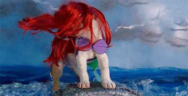 为什么买了一堆“破烂”，却高兴得像个两百斤的傻子？