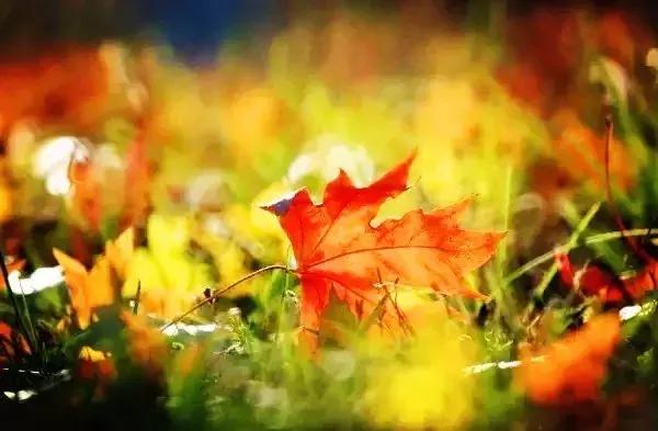 青岛最美地铁,青岛最美九大风景区