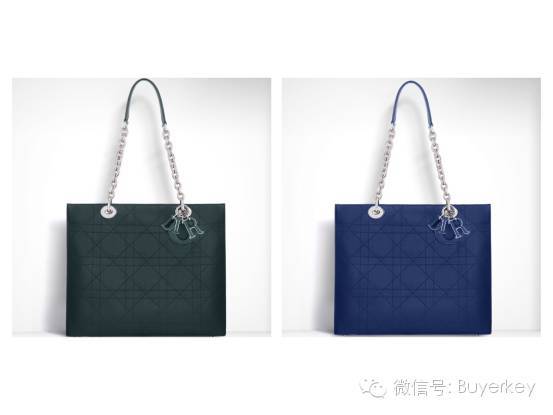 Dior 2016新款包包一个比一个美，都可以买到了！