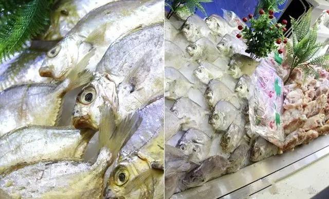 西安海鲜自助餐排行榜前十名,西安北郊自助餐排行榜前十名