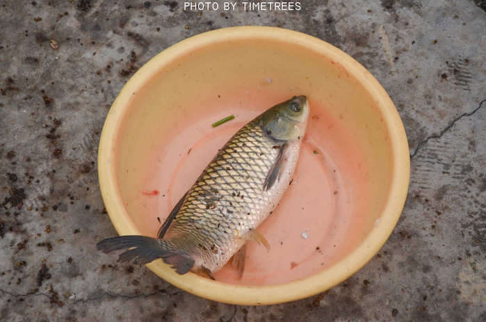 游玩增城新塘,游玩增城