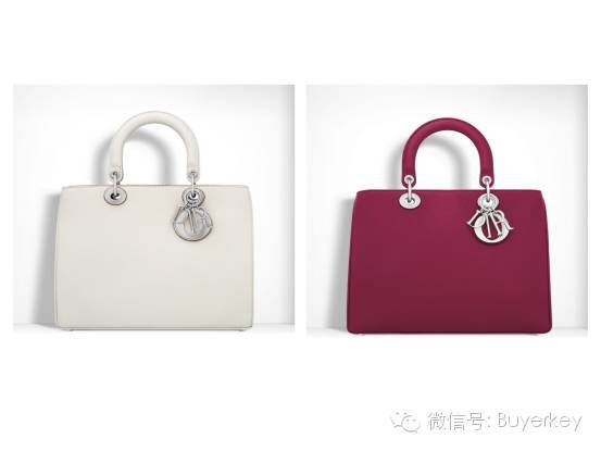 Dior 2016新款包包一个比一个美，都可以买到了！