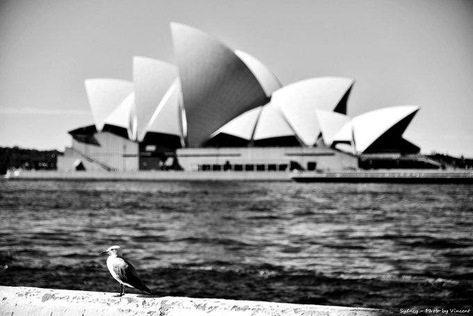 悉尼亲子游记,悉尼游记