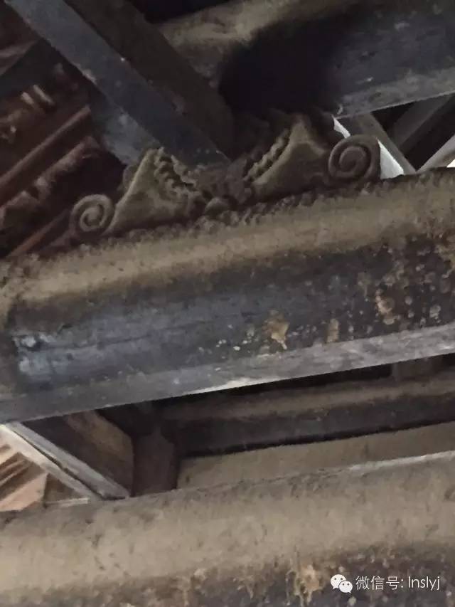 文县最值得去的地方,文县都有哪些地方