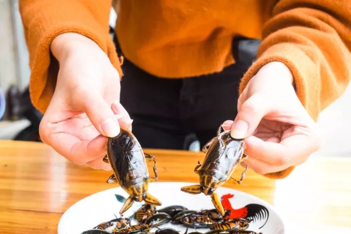 番禺区钟村南站,番禺钟村站