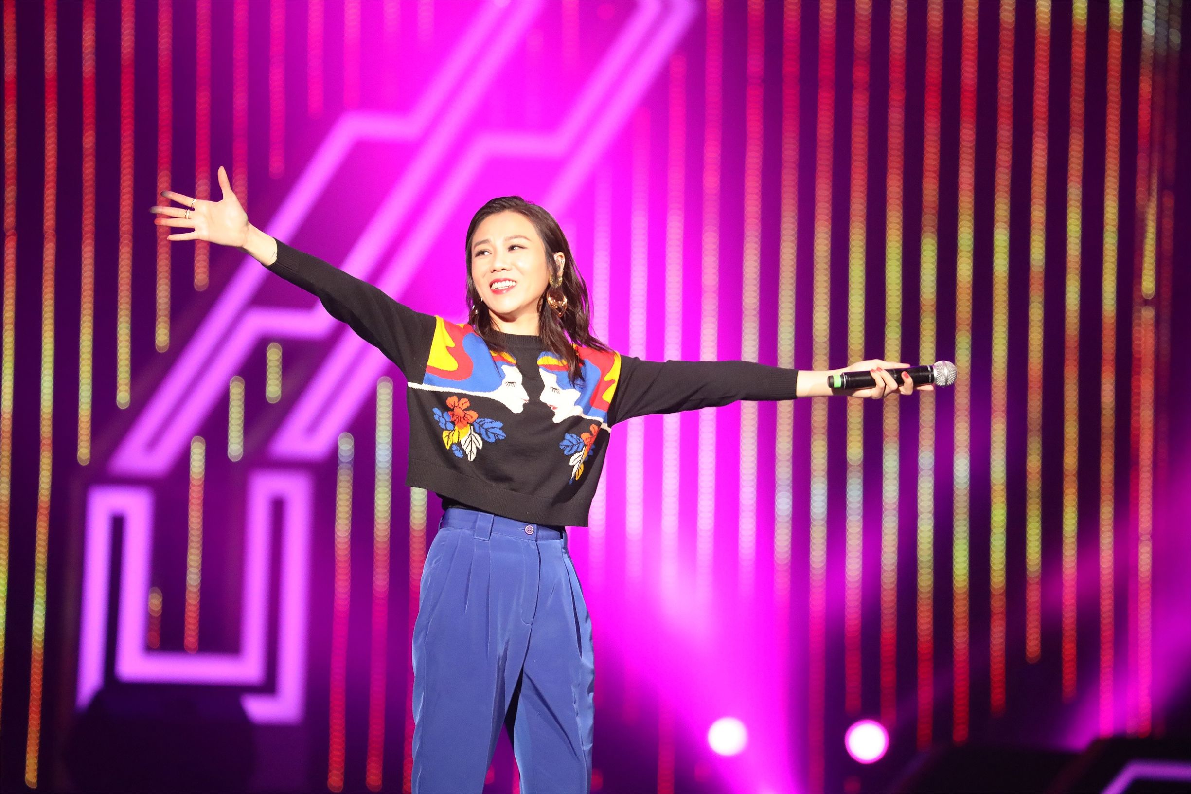 苏宁双十一晚会,苏宁易购双十一晚会