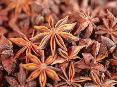 家常五香粉有哪几种药材,五香粉中药味来自何处