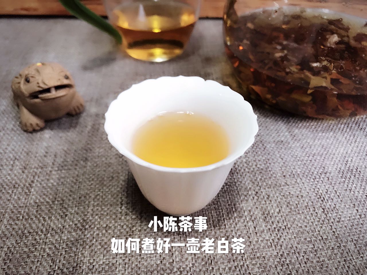 白茶到底怎么喝,白茶什么口感怎么品