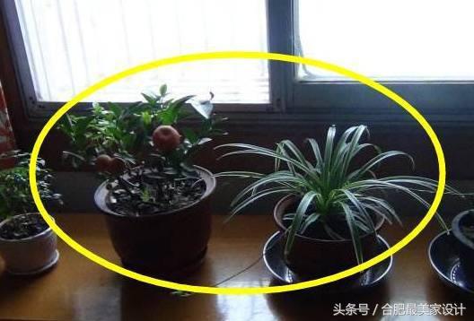 空调对家里风水的影响,家庭空调风水禁忌