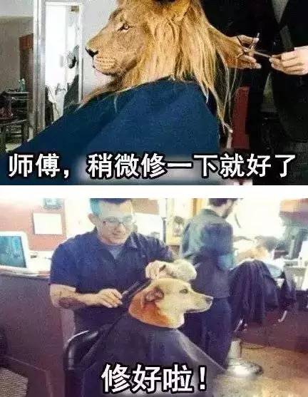 剪发过程怎么避免尴尬,剪发怎么避免剪到手