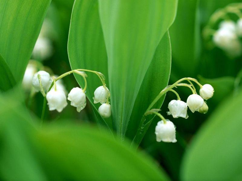 产后不哺乳3个月还没有来月经,产后不喂奶是不是就没奶了