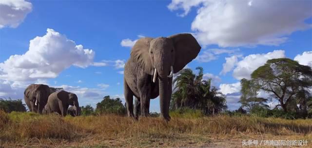 这34个间谍，每天只干一件事：*窥偷**！还拍成电影全球上映？