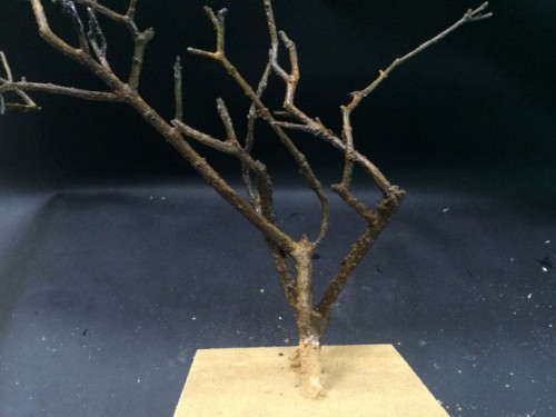 教你用旧盒子和干树枝制作盆景首饰架