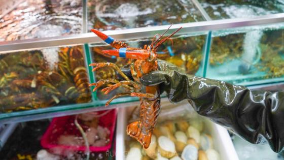 三亚必买10件礼物,三亚免税城购物攻略