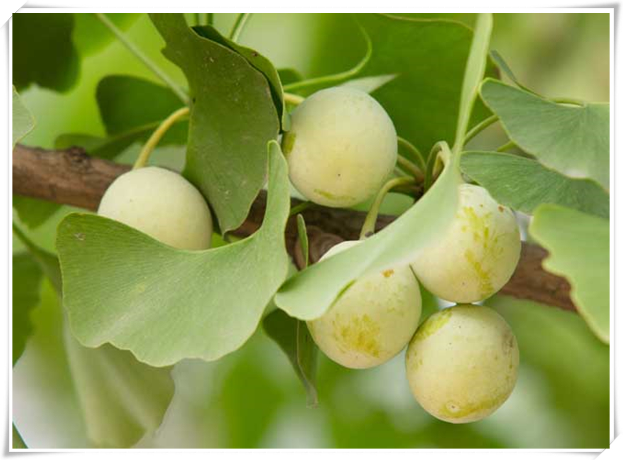 科普天空为什么是蓝色,关于天空的科普短视频