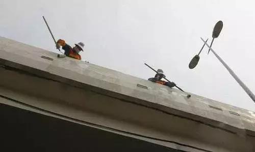 柏油清洗剂可以去除树胶鸟屎印吗,不伤车漆的去胶方法