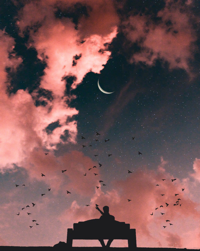 李阳是不是英语创始人,李阳是个疯子