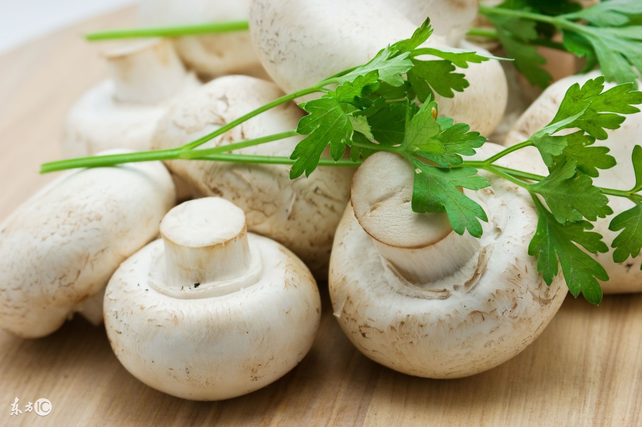 前列腺的克星,男人吃什么治疗乳腺癌