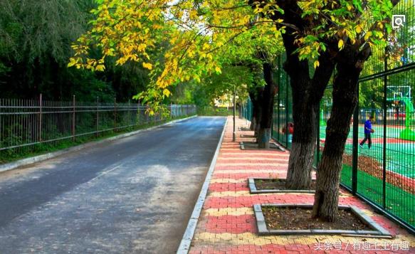 校园公众号的功能介绍怎么写,学校公众号怎样注册及运营