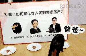 网易考拉跨境电商模式,网易考拉电商业务