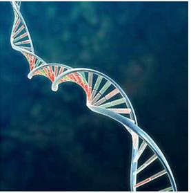 免疫组化pd-l1阴性用什么治疗好,pd-l1免疫组化检测方法及结果判定