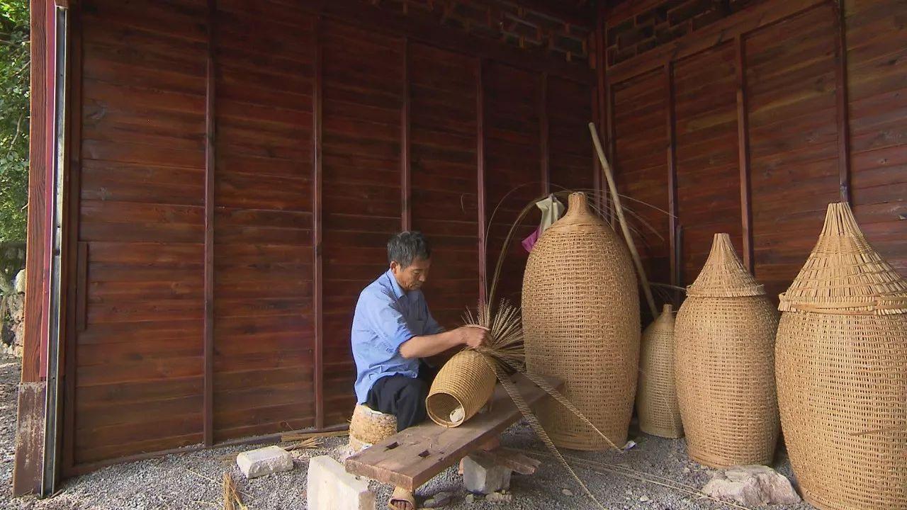 不用网不用钩就能捕到鱼？答案就在这里