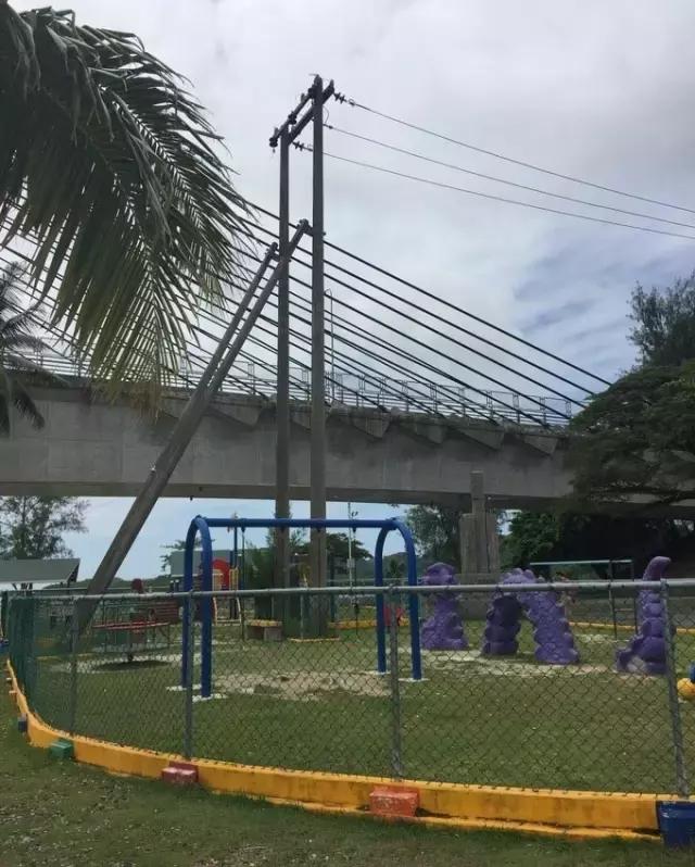 帕劳归来不看海视频,帕劳归来不看海