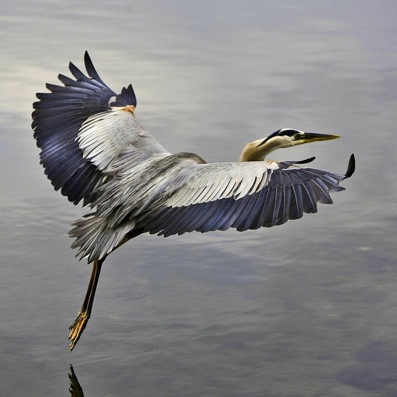 微信相册封面动态教程,微信相册封面美图英文