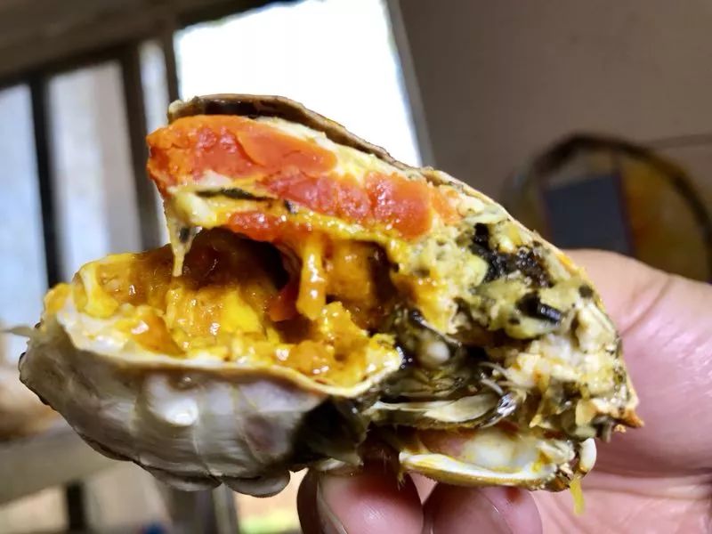 抓螃蟹的方法您知道几种,抓螃蟹的方法儿童