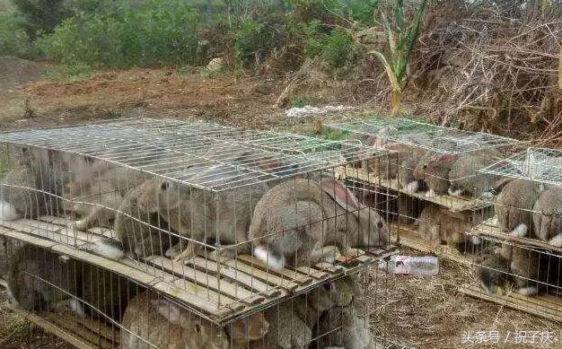 家门口创业好点子,家门口就能致富