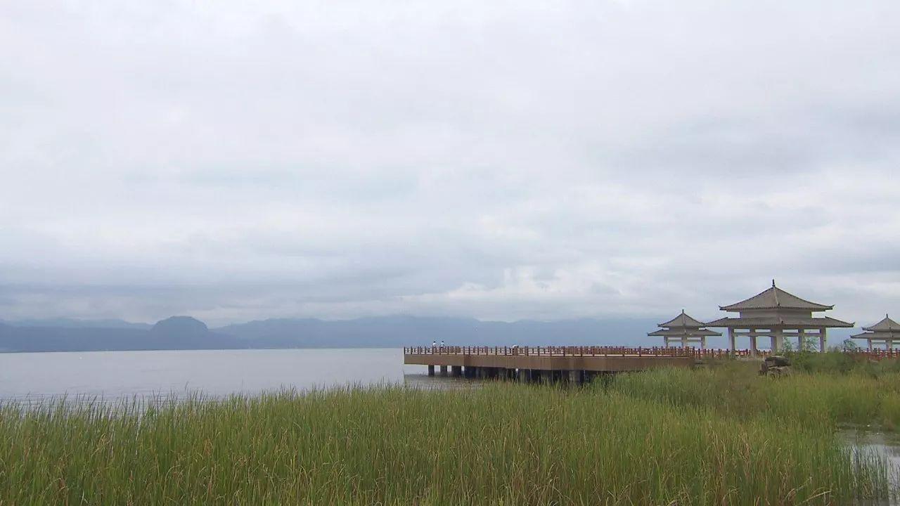 不用网不用钩就能捕到鱼？答案就在这里