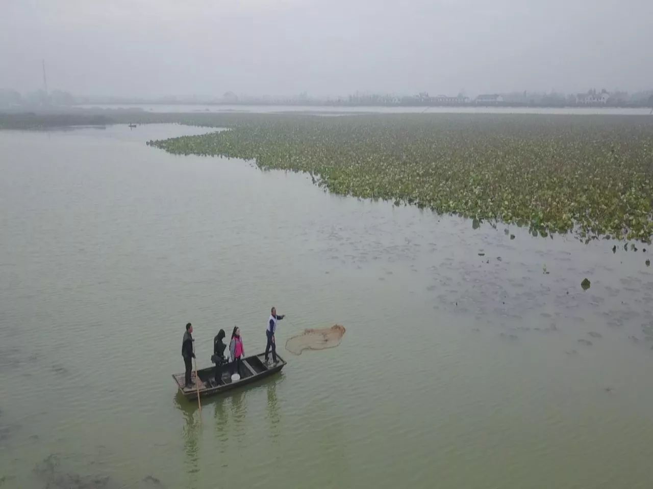 抓螃蟹的方法您知道几种,抓螃蟹的方法儿童