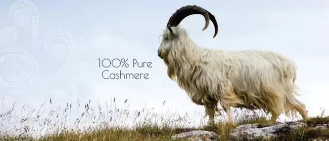 双11花十几万买东西,双11一千多卖15是真的吗