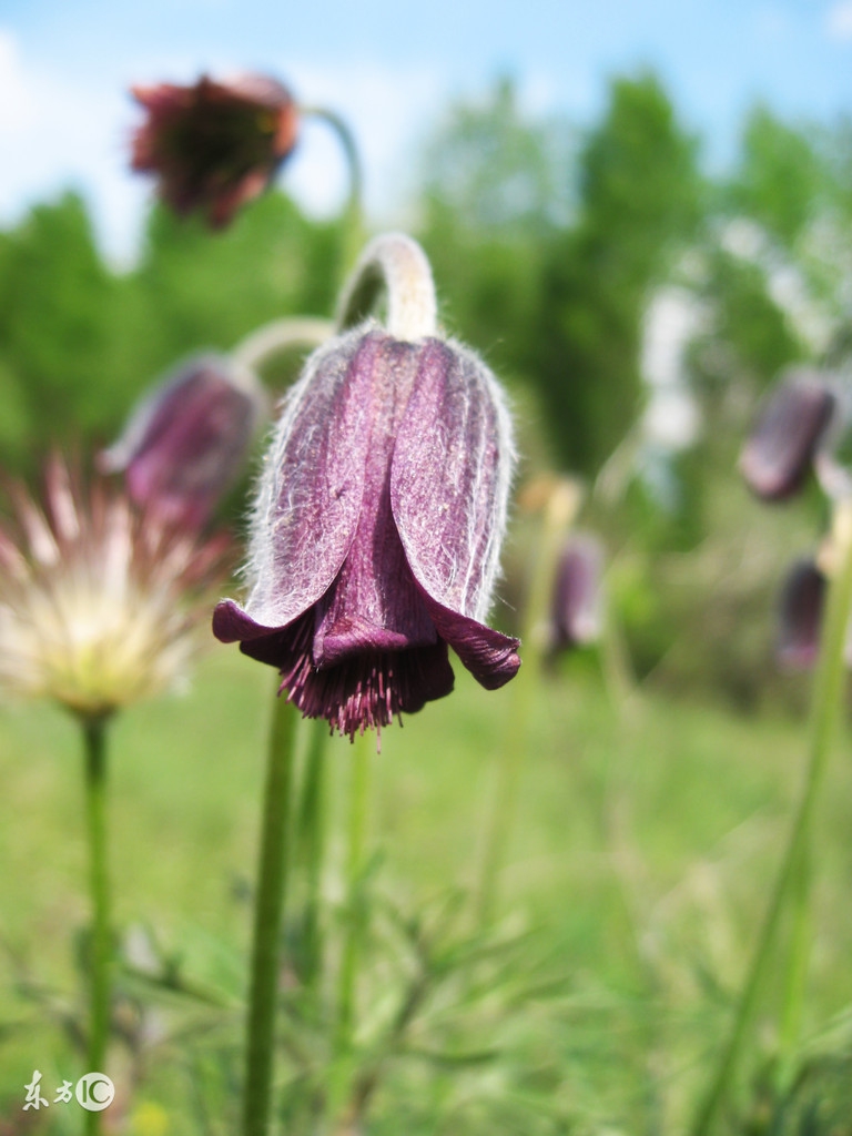 没有股癣可以用药预防吗,预防股癣的洗剂