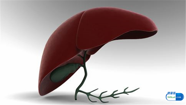 参芪肝康胶囊治疗肝炎怎么样,肝苏胶囊能用于乙肝治疗吗