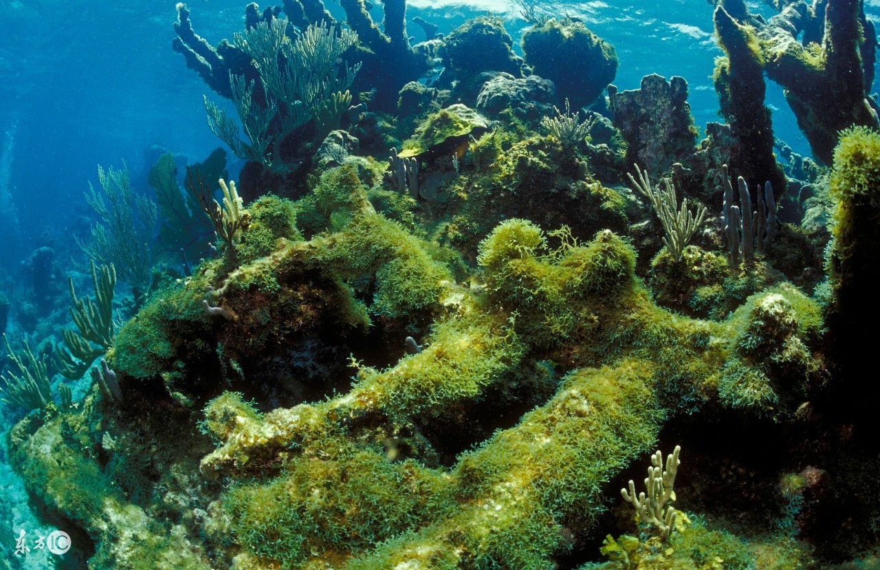 广东峡谷旅游景点,广东的大峡谷旅游景点