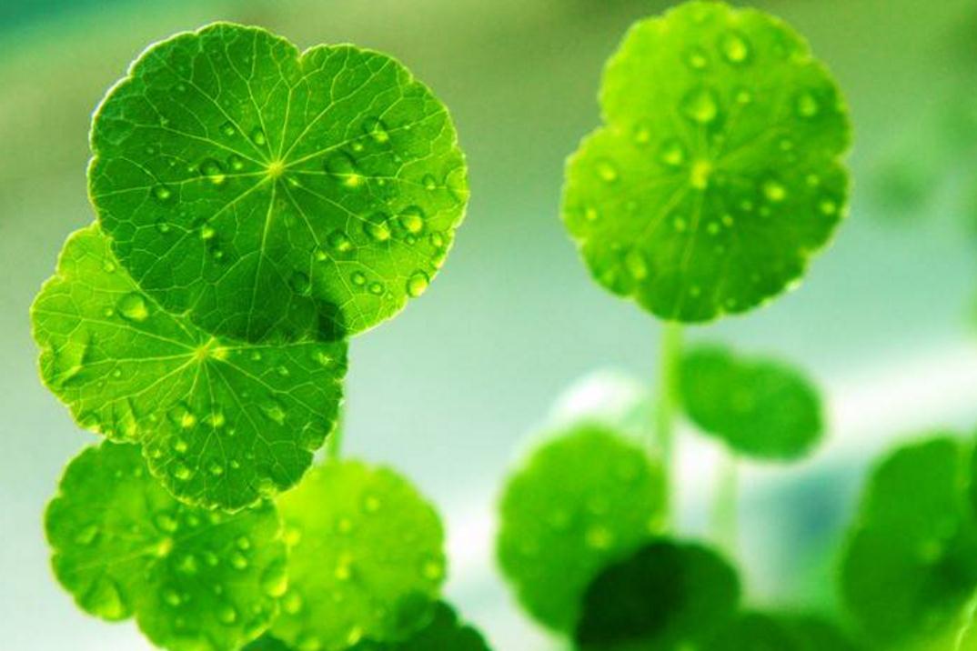 避免在沟里翻船,避免翻船攻略