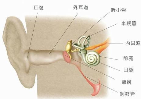 滴鼻液治疗中耳炎正确的滴法,鼻喷剂治疗中耳炎靠谱吗