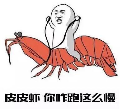 王卫顺丰快递是怎么来的,顺丰快递王卫谈为什么快