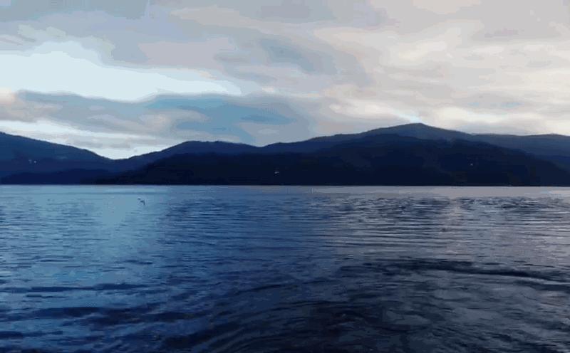 他们有钱,会玩,没有中产焦虑