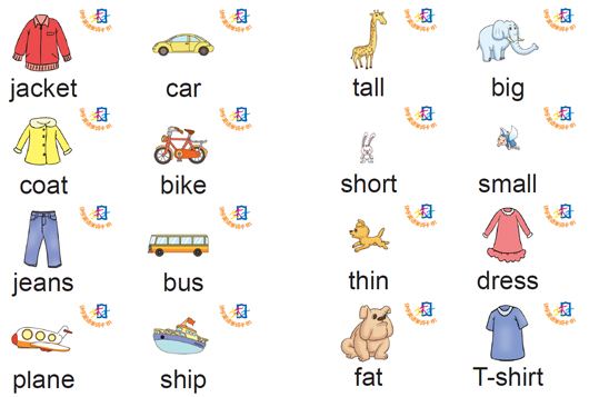 幼儿园英语词汇,幼儿园英语词汇量