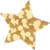 贝嫂彩妆,贝嫂的彩妆