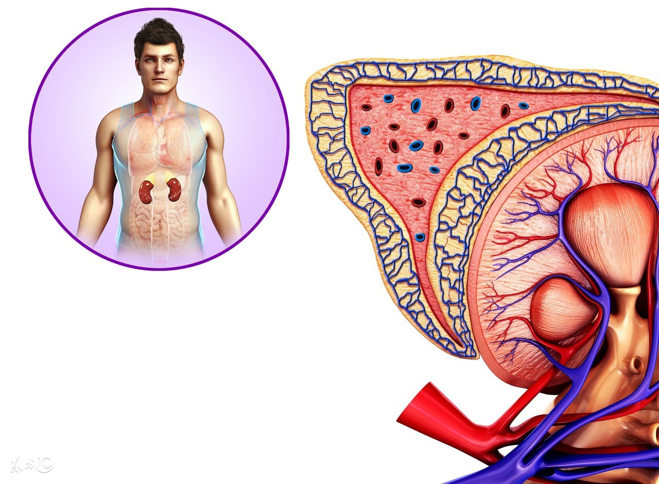 胸口有时候会一瞬间的疼,胸口有时闷一下心跳就快