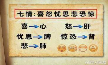 七情过激必伤脏器,七情调和百病不生的养生方法
