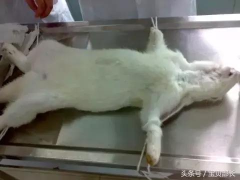 打点滴时空气进了血管多少有危险,打点滴时空气进了血管会死吗